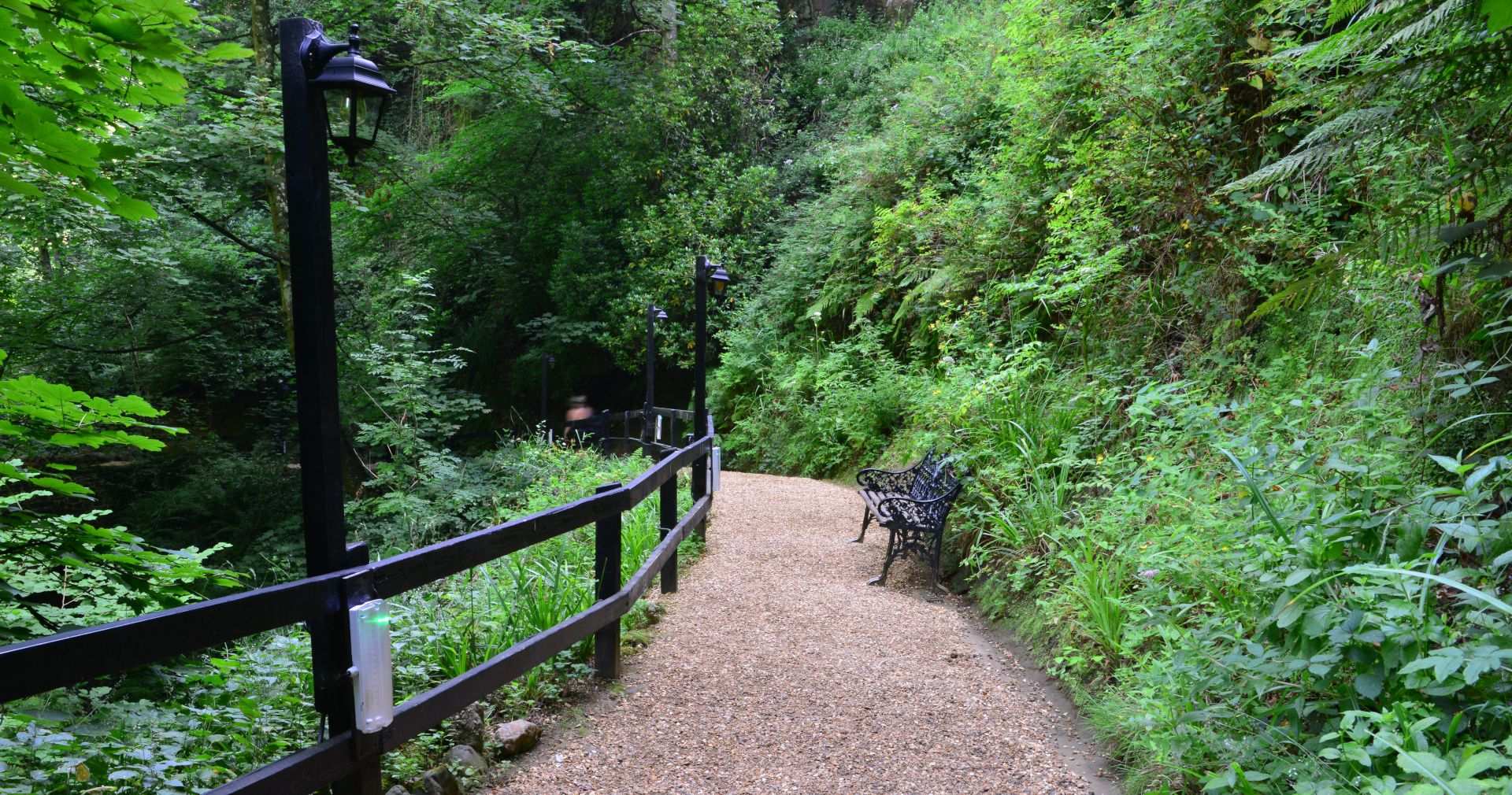 Shanklin Chine